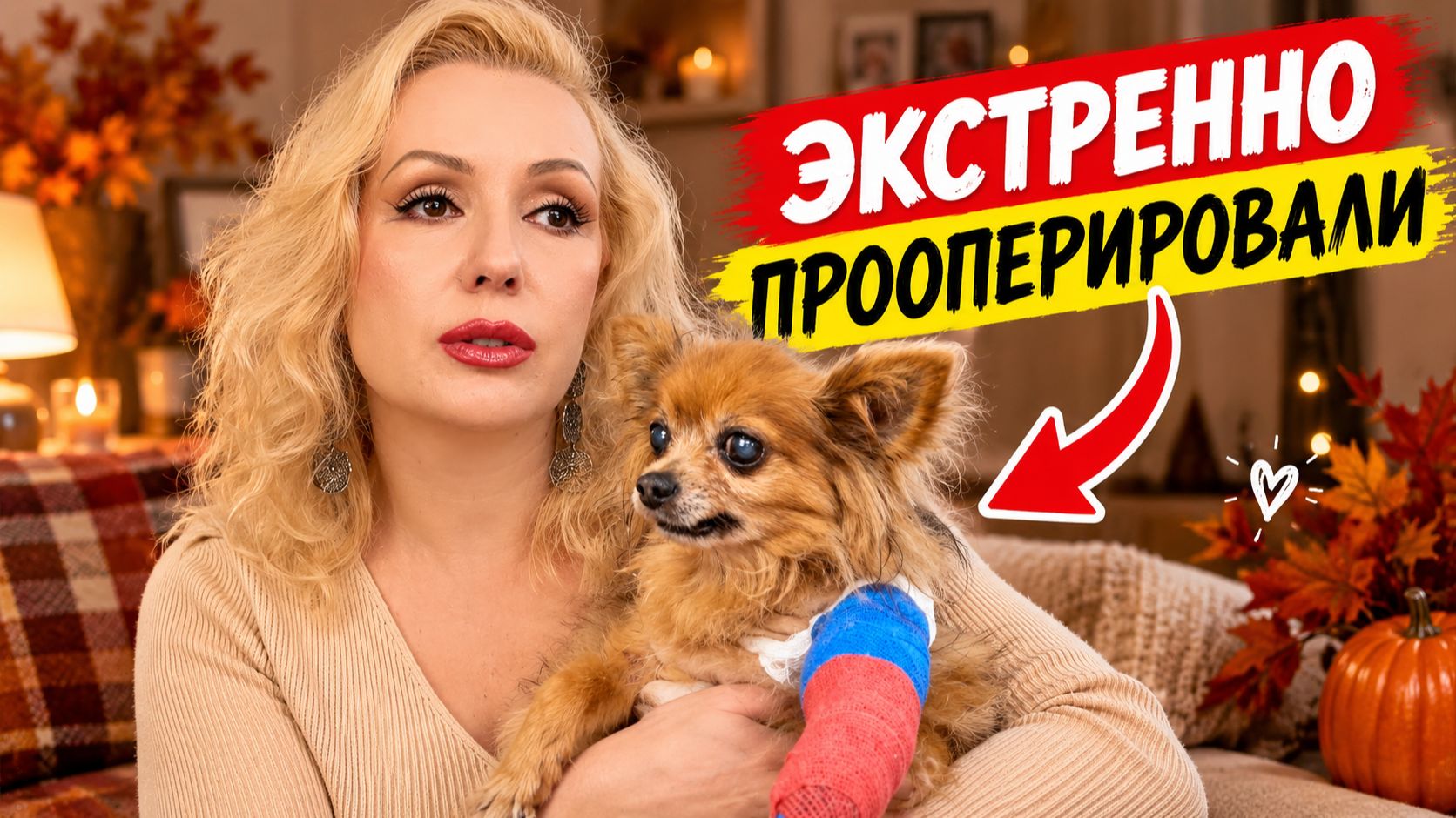 ВЛОГИ 2026