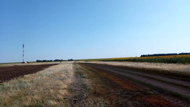 Перелюбский район)