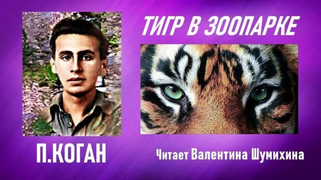 Павел Коган 