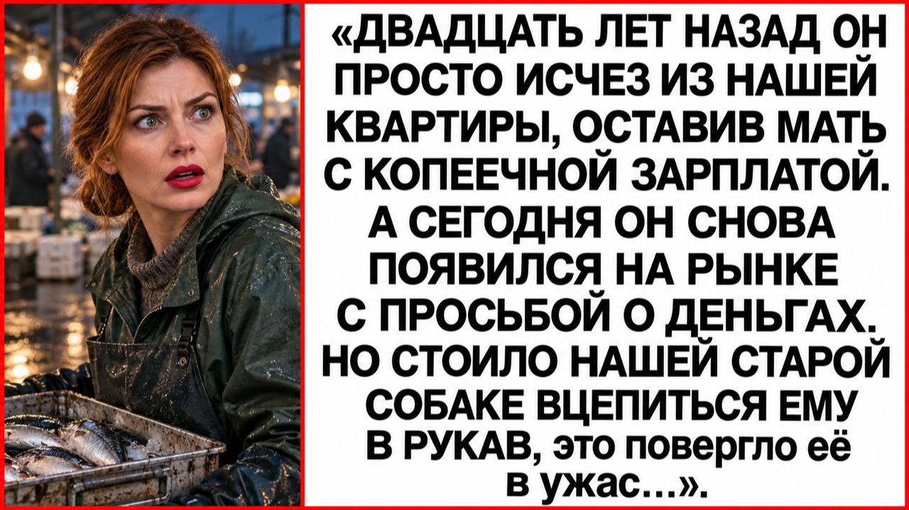 Истории из жизни