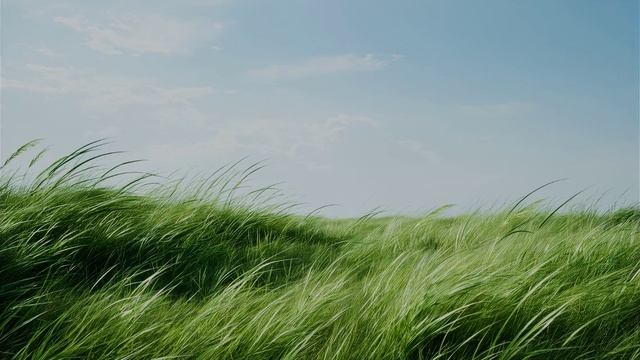Песни для детей