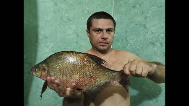 Отдых