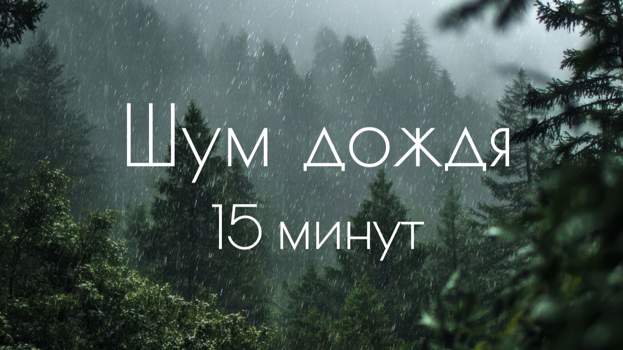 15 минутные.