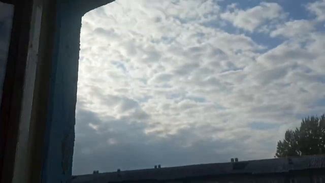 Лайфхаки и полезности