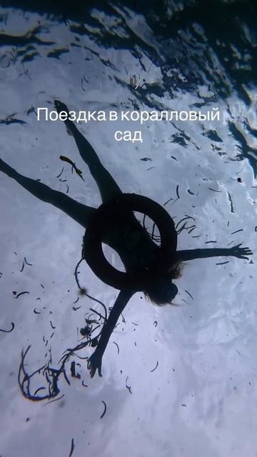 СО ЗВУКОМ)))
