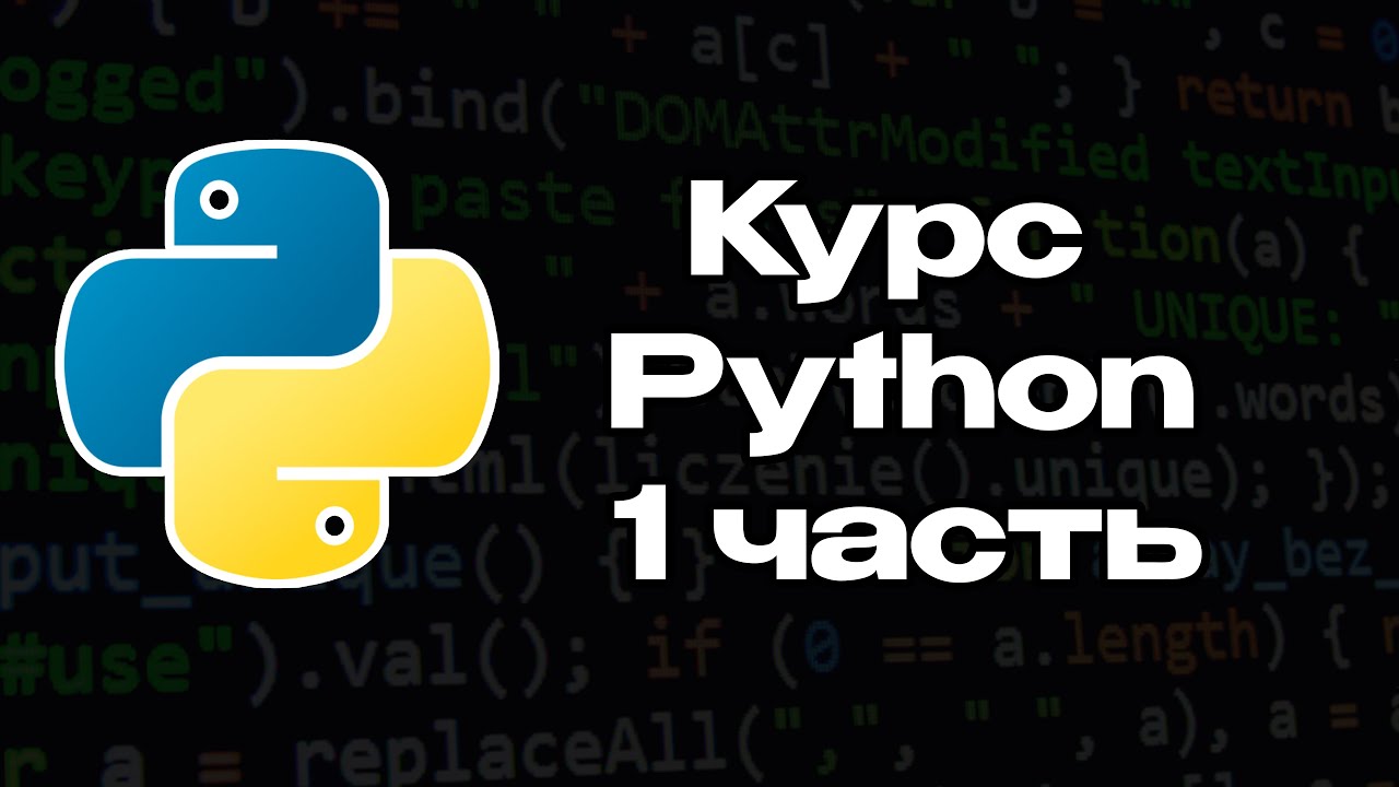 Курс Python C нуля | Базовые функции в языке программирования