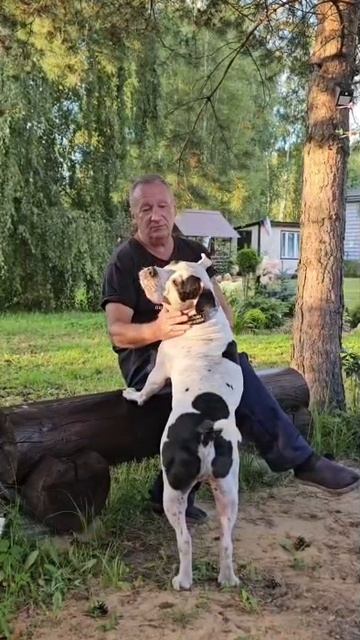 rutube.ru