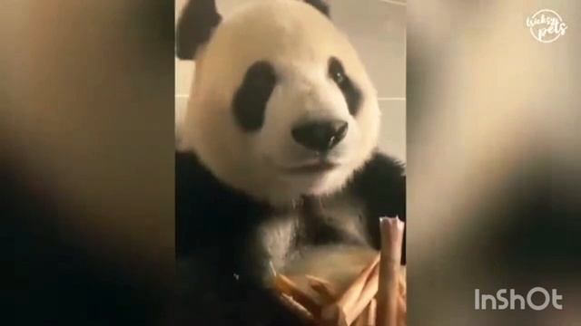 Юмор🫣😁