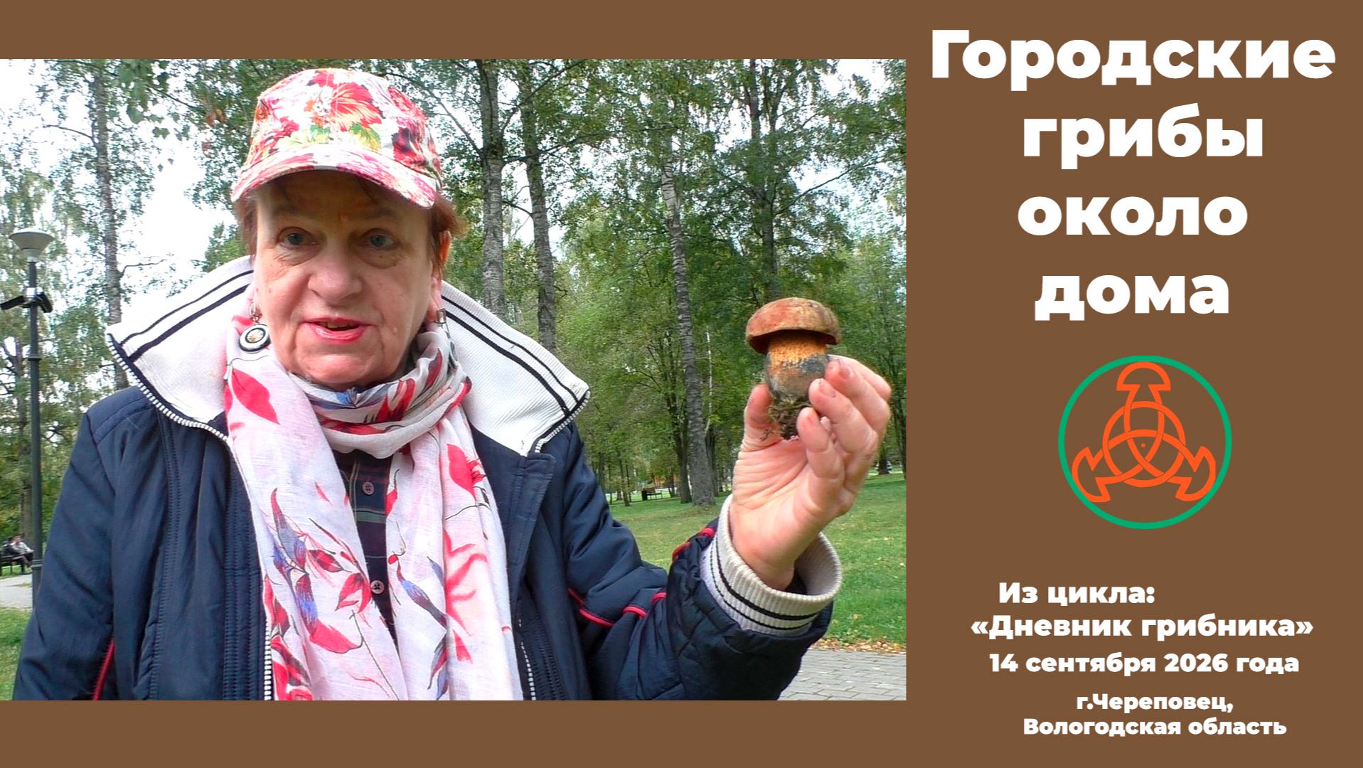 Городские грибы около дома. Дневник грибника 14 сентября 2026 года.