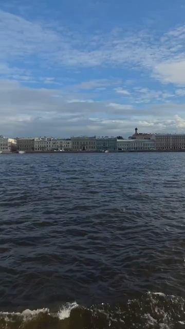 Бушующая река Нева. г.Санкт-Петербург