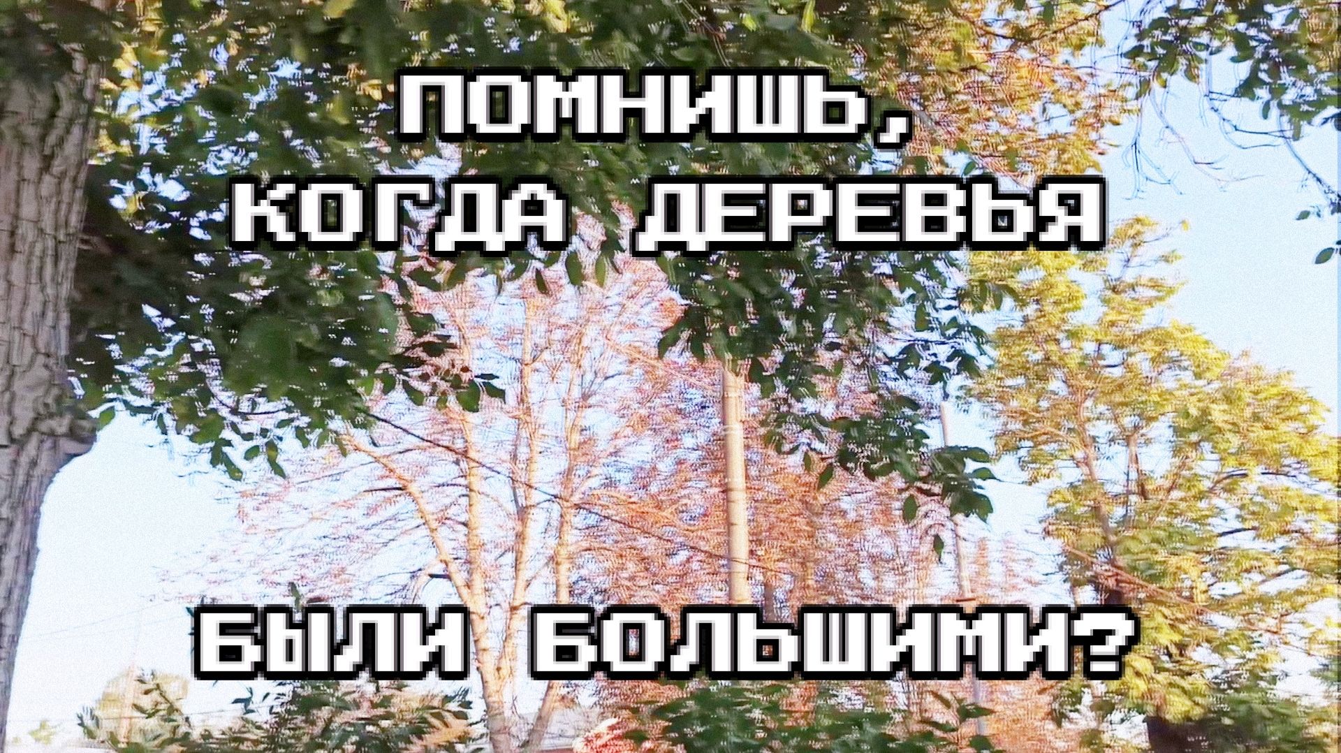 Помнишь, когда деревья были большими?