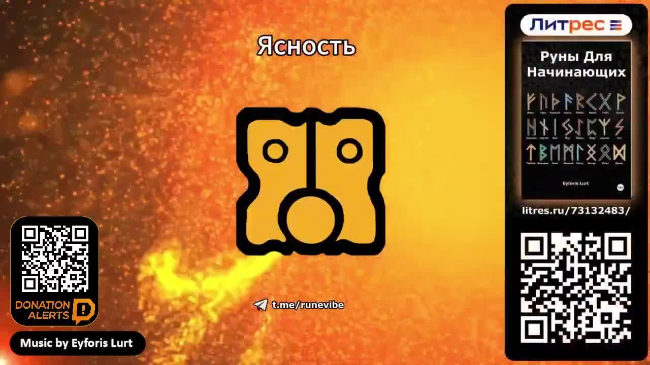 LIVE: Content_Net