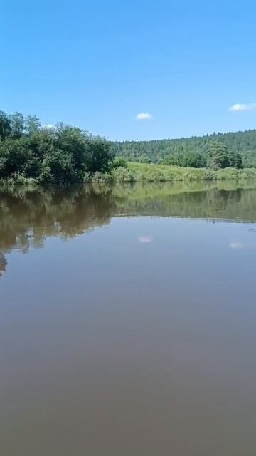 рыбаки и охотники
