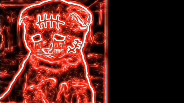 Любые Лица Котиков (50 фаз)