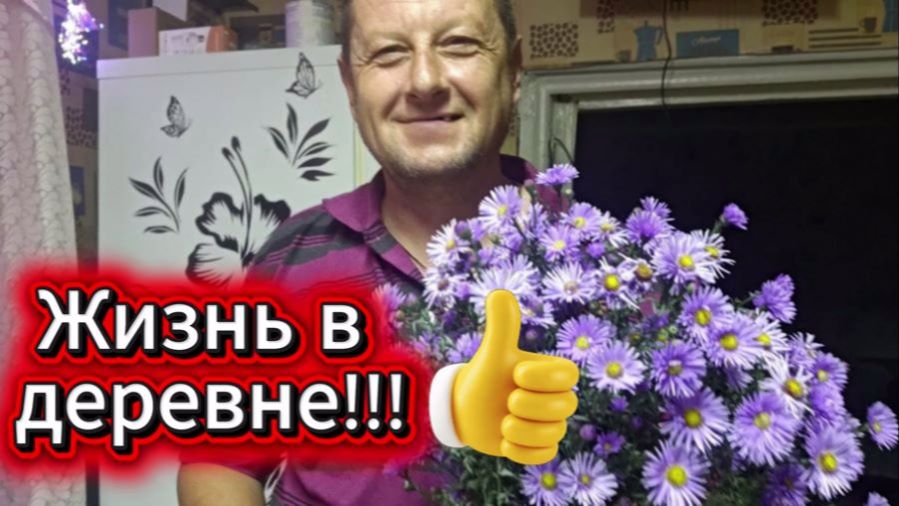 Жизнь в деревне .Домашние дела .Что купили в магазине.Вечерняя поездка в лес