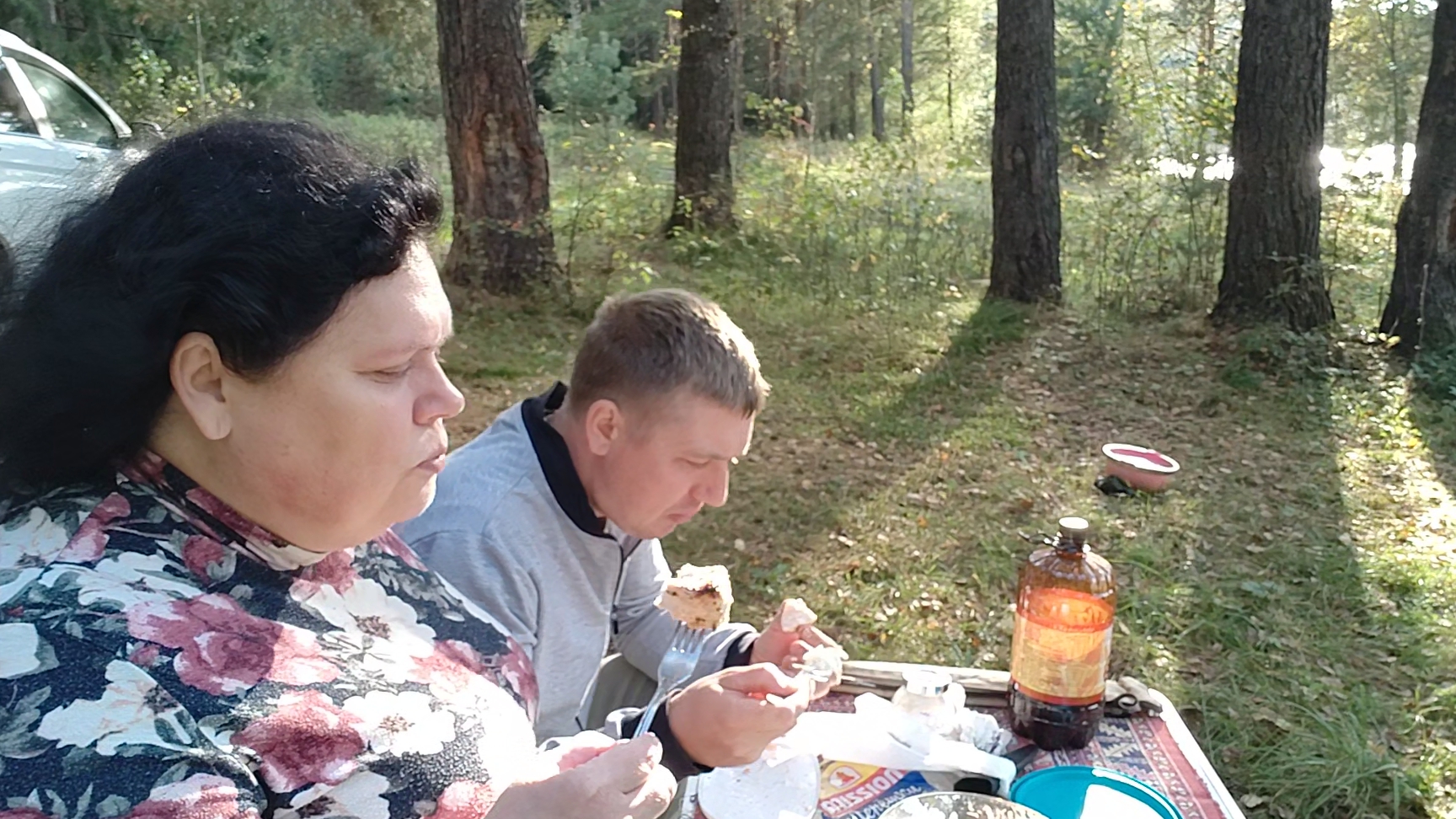 Купили мяса/ Замариновали/ Поехали в лес/ Шашлык / Мини мукбанг