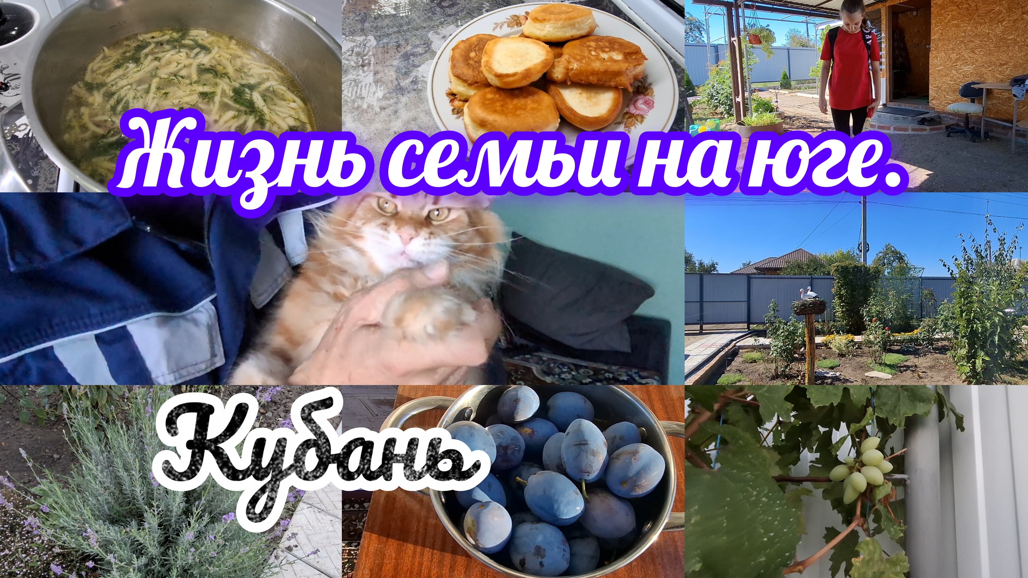 20-09-2026/ Жизнь на юге после переезда/ Готовлю/ Обработали розы/ Дуся играет/ Краснодарский край/