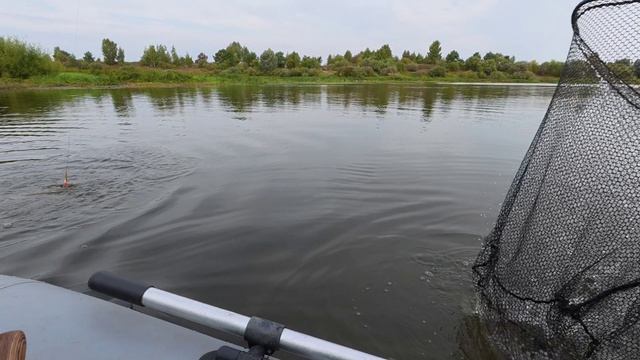 РЫБАЛКА НА СПИННИНГ 🎣 ТЕСТ КОЛЕБАЛОК: Какая лучше?