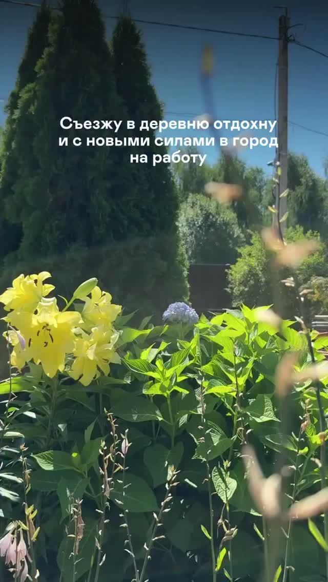 Свежий воздух и шелест листвы — лучшее лекарство от городской суеты😁