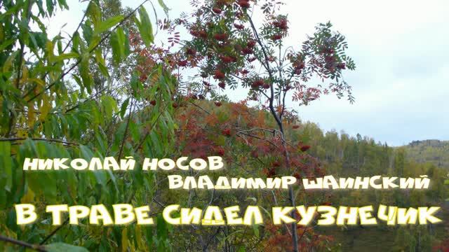 Разное (Проба)