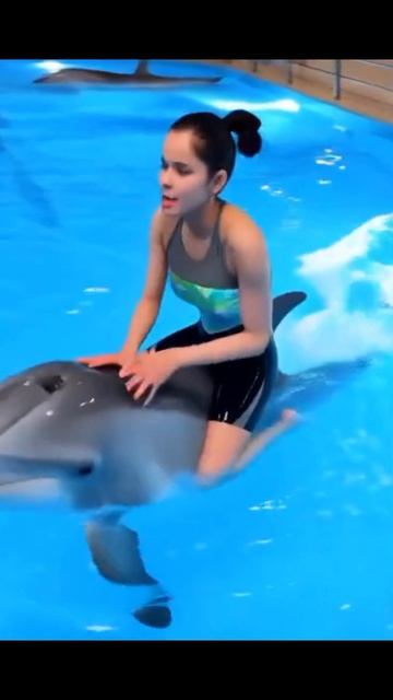 #музыка #music #орэд #дельфин 🐬