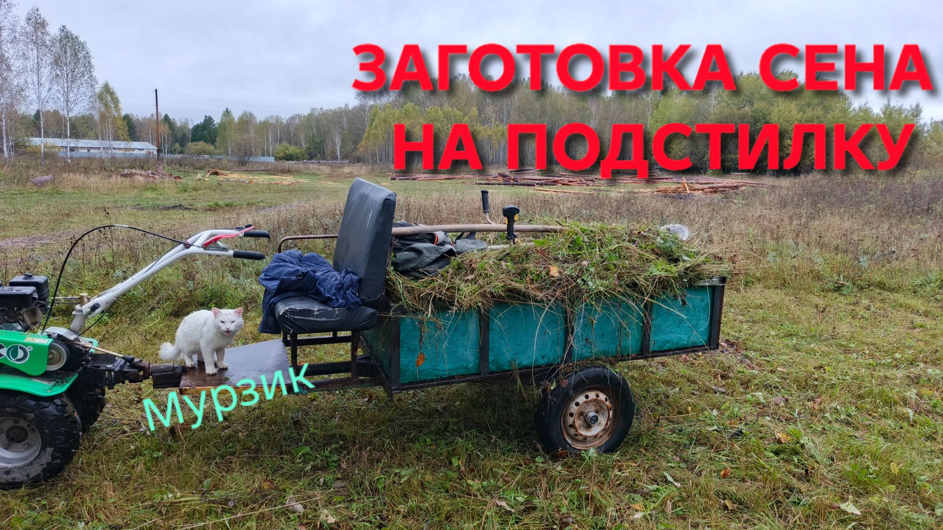 Деревенские будни