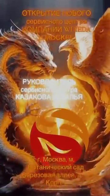 Команда Фениксов стремительно проявилась в большой команде Драконов