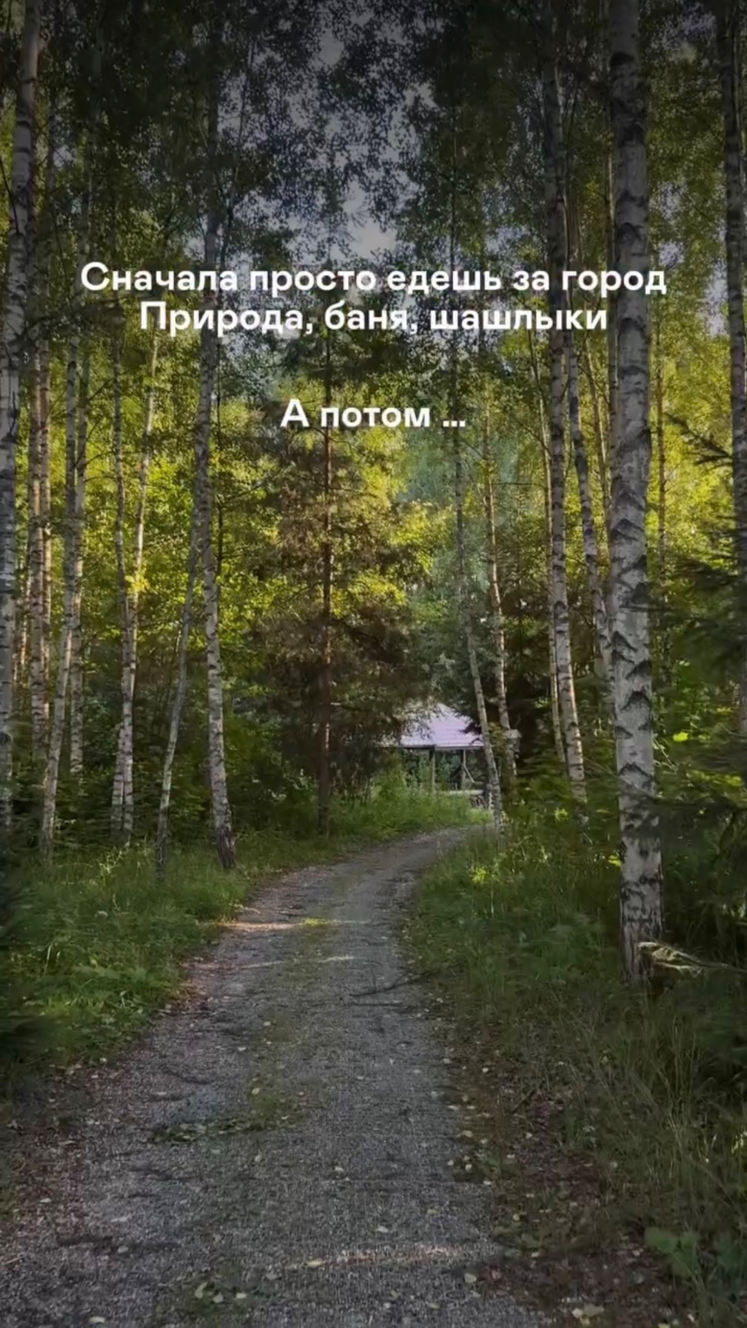 ОСТОРОЖНО: сад вызывает зависимость 🌿💚