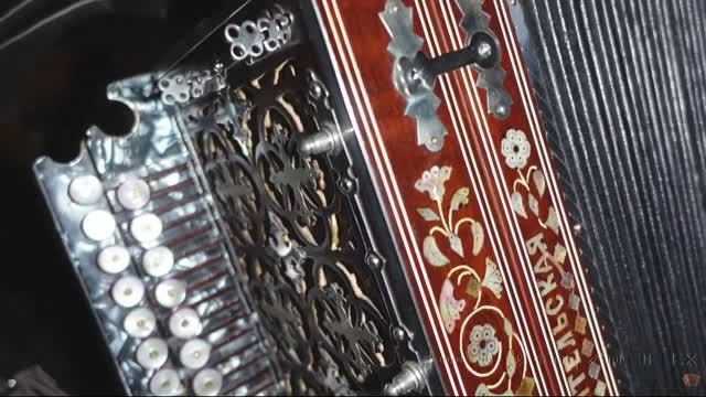 НЕ ЖАЛЕЮ / СУДАРЕВ