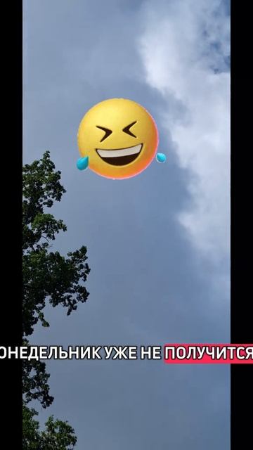 😁🤣😁🤣😁🤣