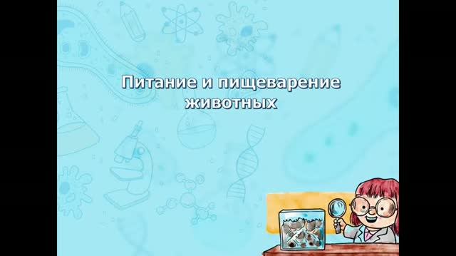 8 кл. Питание и пищеварение