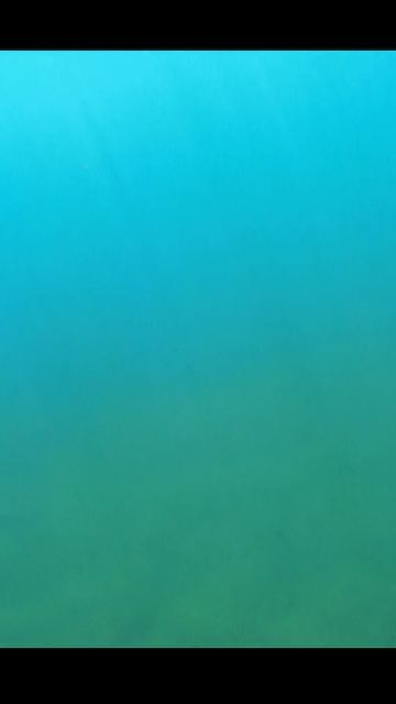 Подводная охота