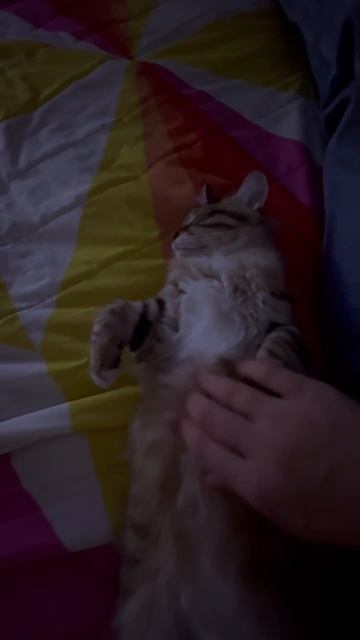 Домашний вечер