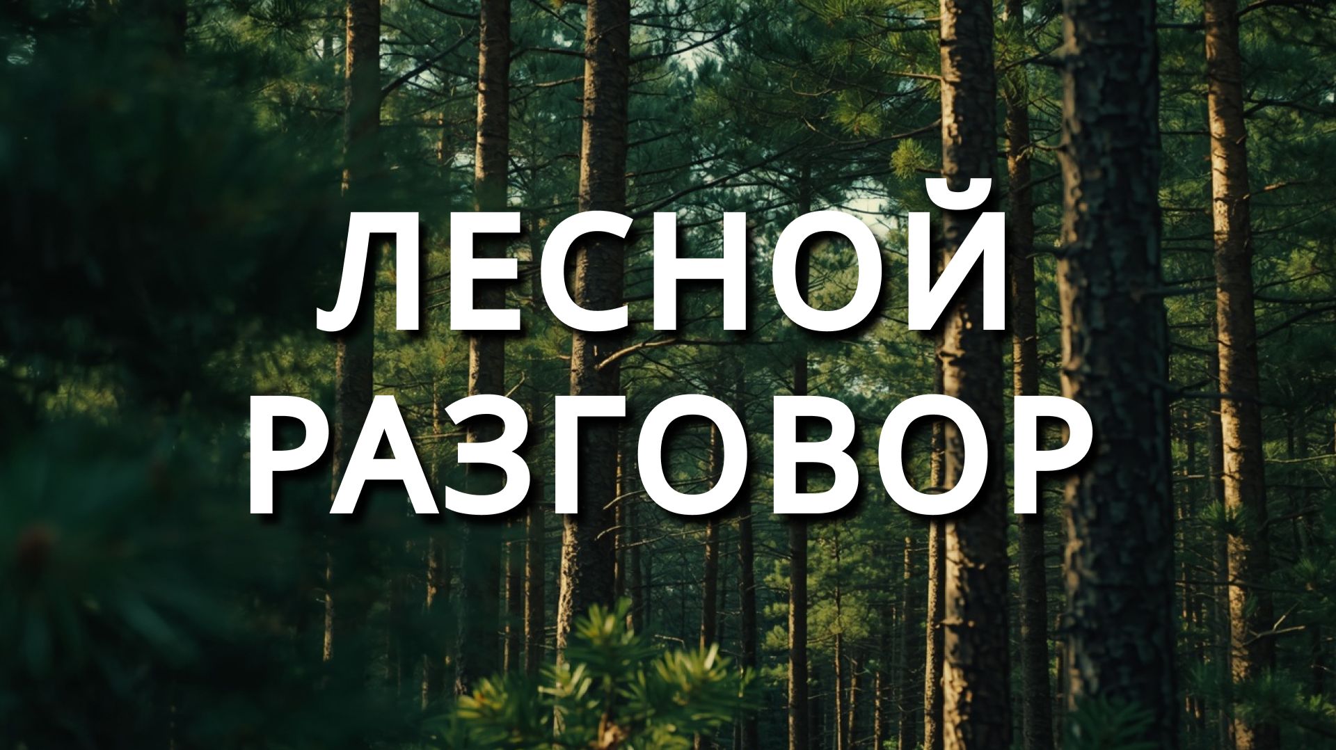 Лесной разговор. Рассказ/аудиокнига