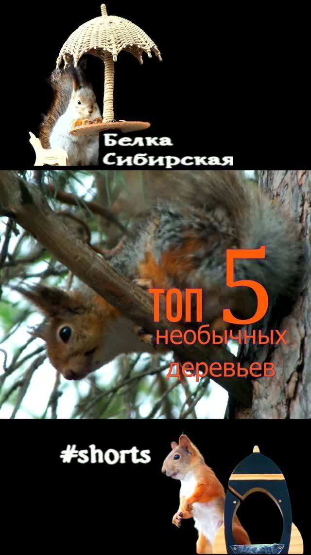 Путешествие на Урал