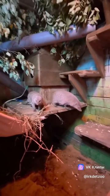 Новоселье! 🏠❤️