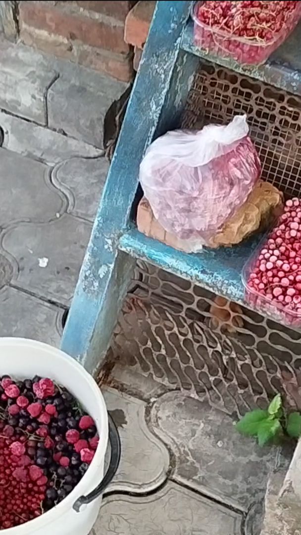 Вино,чача, самогон.