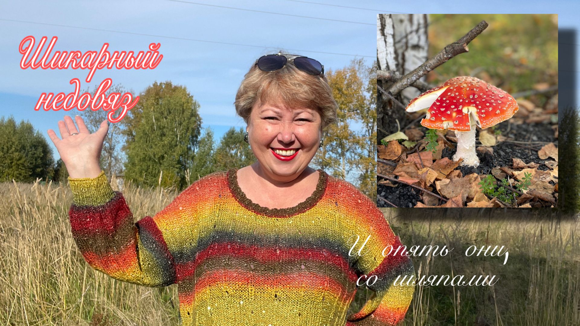 Шикарный недовяз - решение найдено!