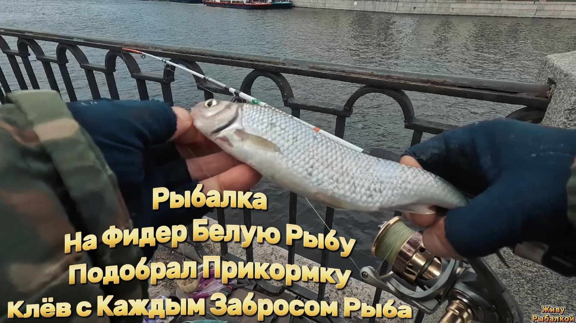 ПРОГУЛКИ ПО ГОРОДУ САНКТ-ПЕТЕРБУРГУ
