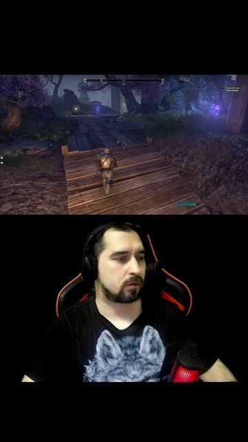 Когда на 60 секунд залетел в The Elder Scrolls Online