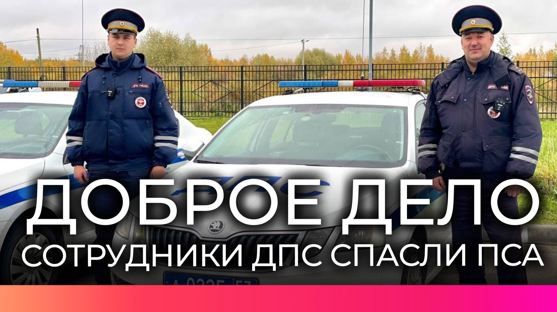 Душераздирающее видео из Москвы: раненого пёсика, застрявшего в отбойнике, спасли сотрудники ДПС!!!