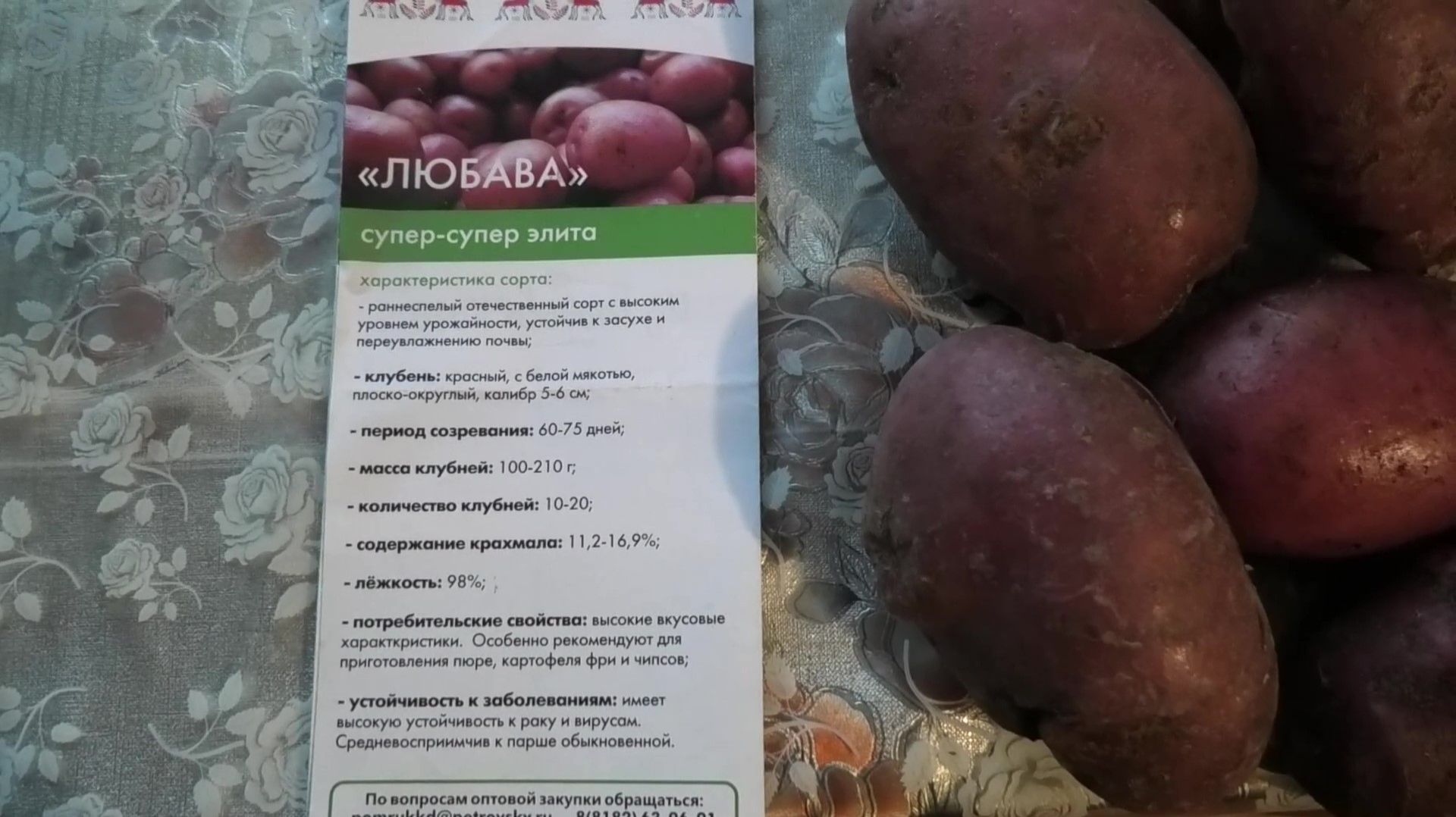 фильмы 26 года