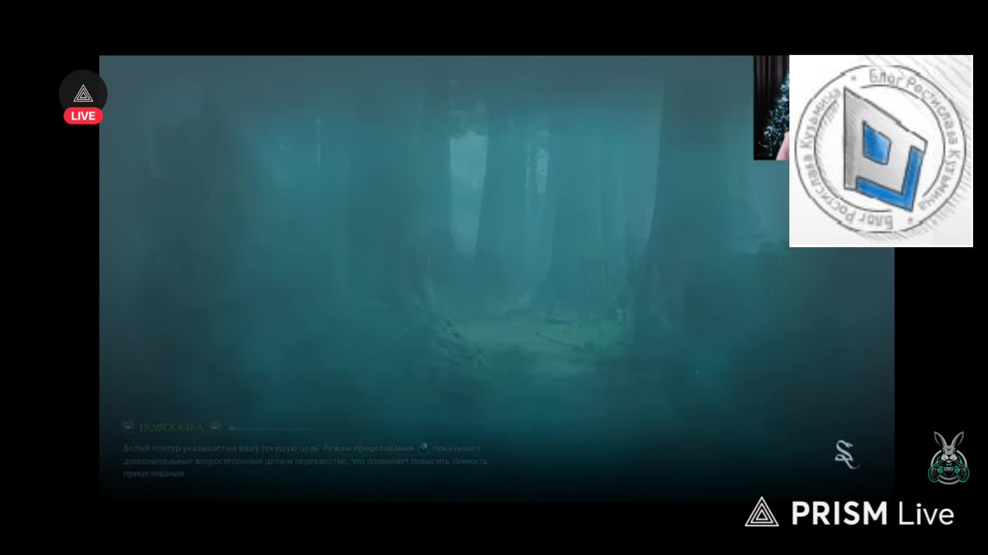 Hogwarts Legasy. Прохождение и чтение субтитров от Amway 921. Всë самое интересное и смешное. Вперёд