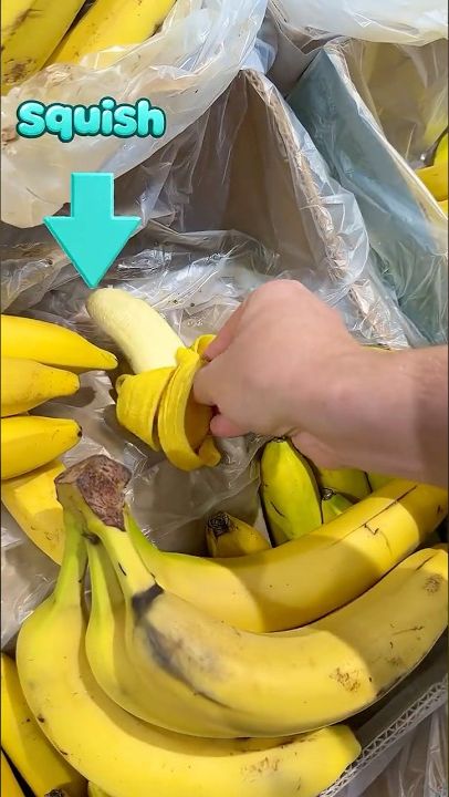 Я спрятал фейковые продукты в магазине!