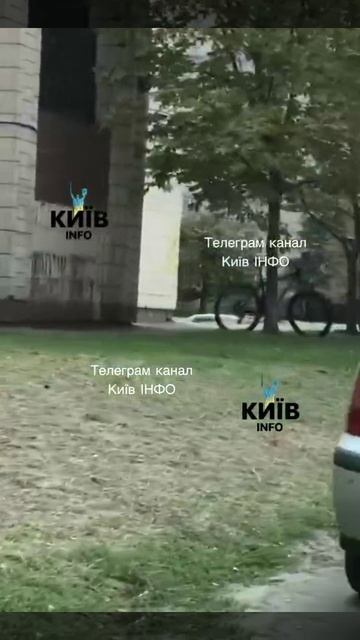 Киев. Банда оккупантов похищает очередного крепостного.