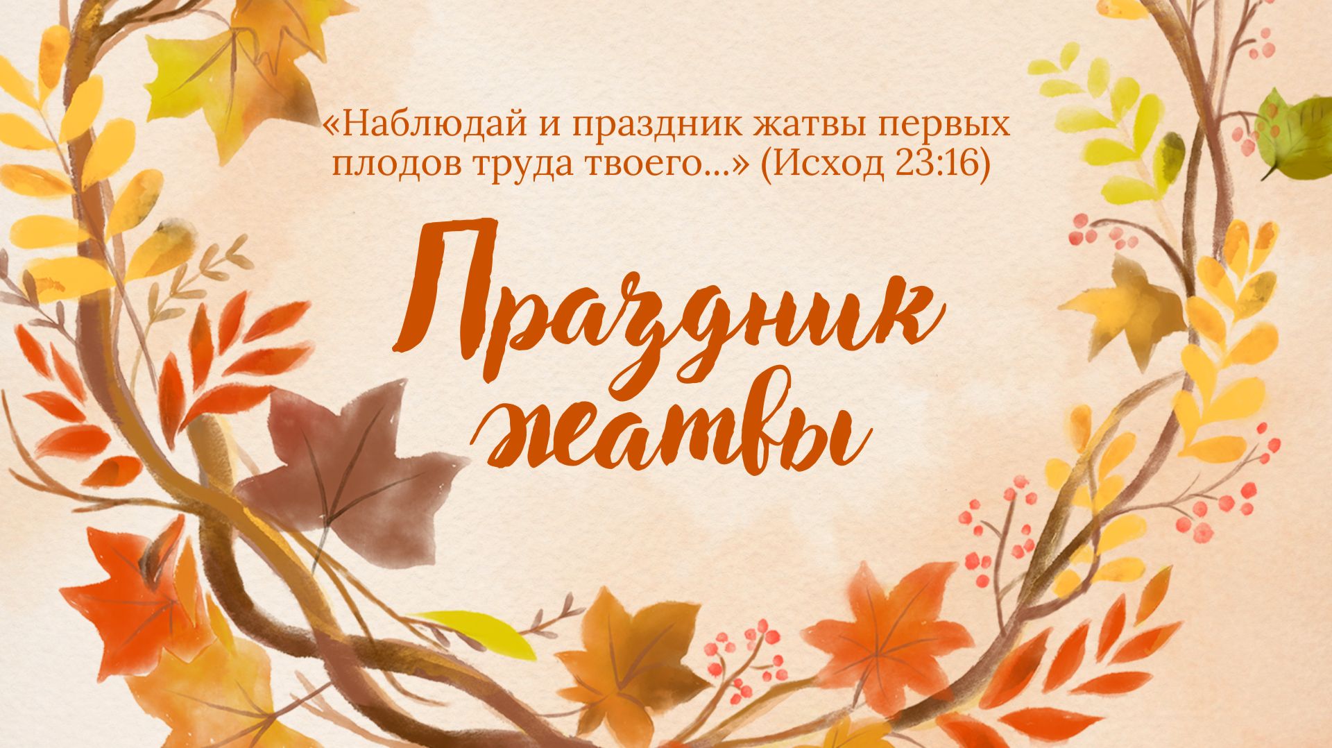 Вячеслав Матвейчук
