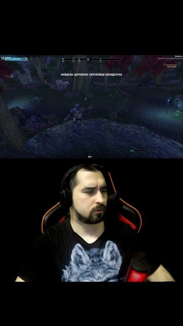 Когда на 60 секунд залетел в The Elder Scrolls Online