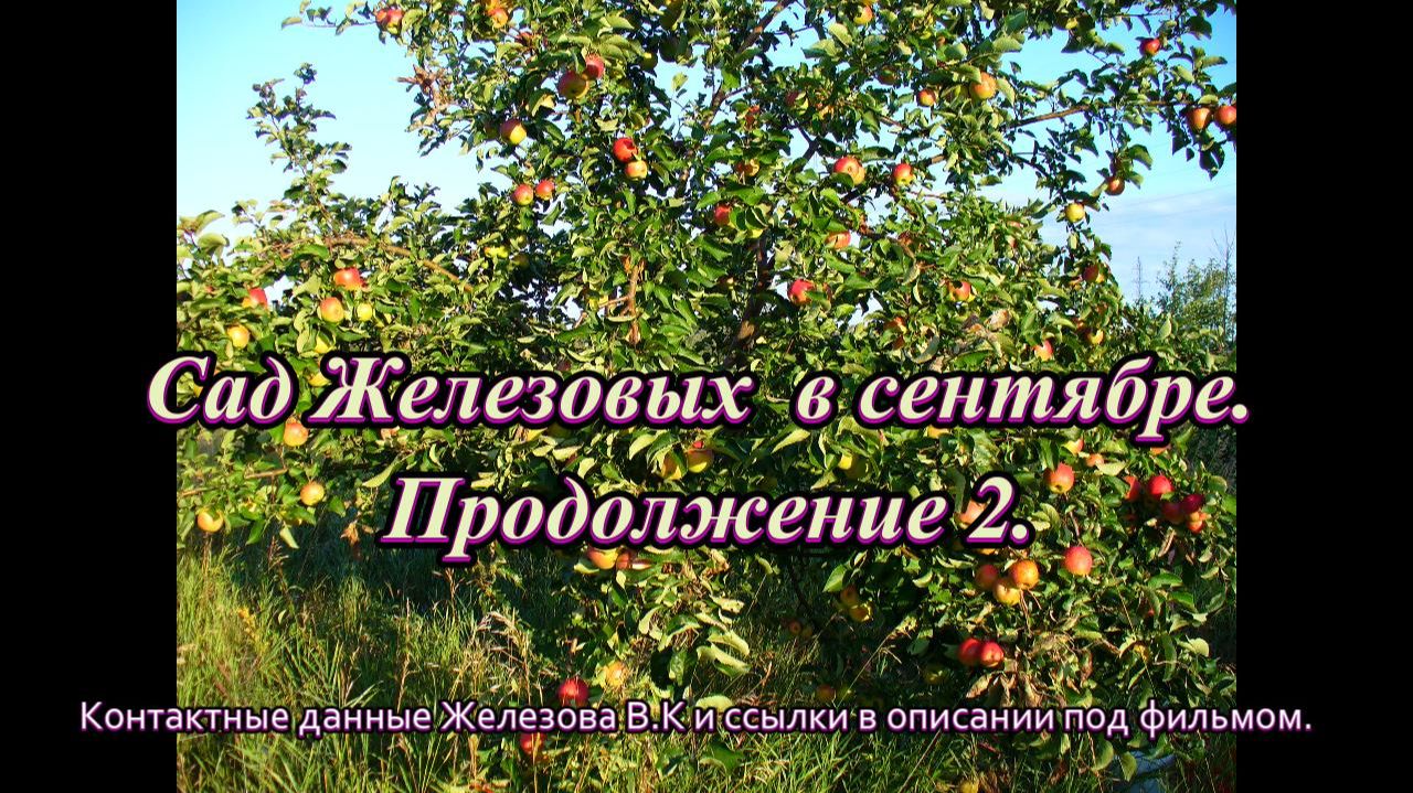 Сад Железовых.