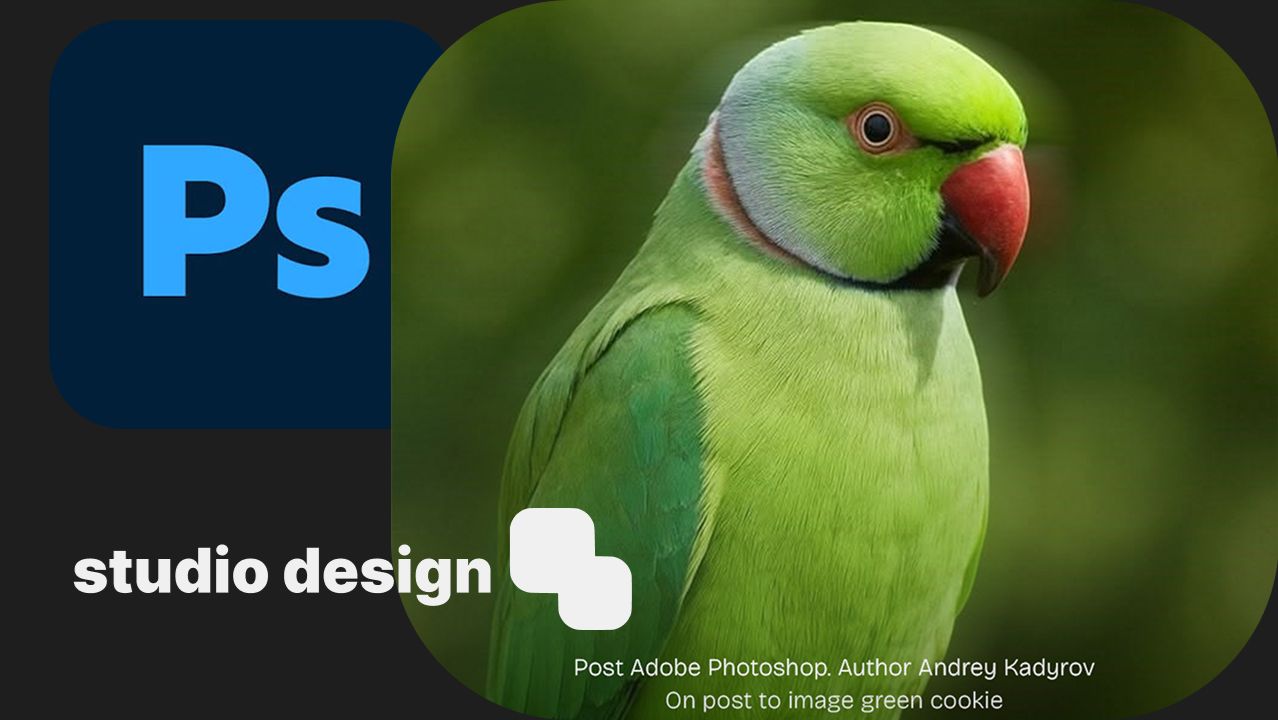 Studio Design - Adobe Photoshop - Зеленая печенька