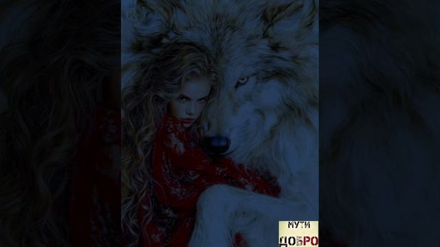 Красивая Песня💥Классная Мелодия🎶
ПОЗДНО⭐️⭐️⭐️